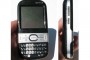 palm-centro-black