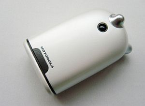 Motorola Cute Phone